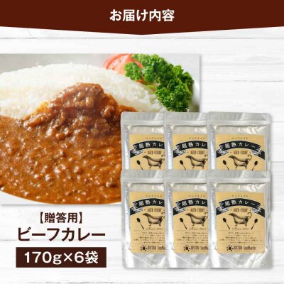 【贈答用】【ご当地特選グルメ!】手作りビーフカレー 6食入り [AGBX016]