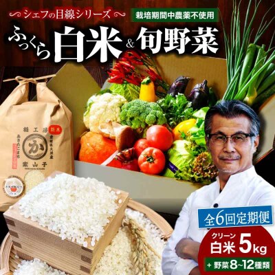 【全6回定期便】『シェフの食卓』～野菜・果物・お米・卵の詰め合わせ～ [AGBX032]