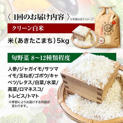 【全6回定期便】『シェフの食卓』～野菜・果物・お米・卵の詰め合わせ～ [AGBX032]