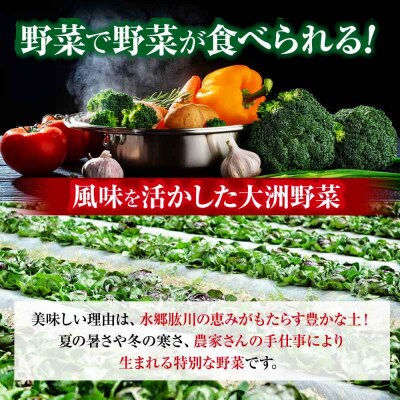 『シェフの食卓』～野菜・果物・お米・卵の詰め合わせ～ [AGBX035]