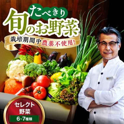 【シェフの目線】野菜 6から7種 単身・二人暮らし用セット [AGBX043]