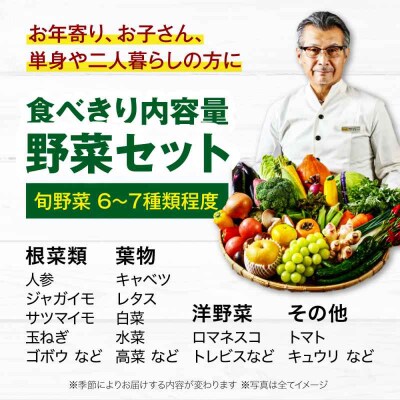 【シェフの目線】野菜 6から7種 単身・二人暮らし用セット [AGBX043]