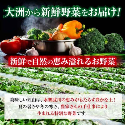 【シェフの目線】野菜 6から7種 単身・二人暮らし用セット [AGBX043]