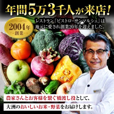 【シェフの目線】野菜 6から7種 単身・二人暮らし用セット [AGBX043]