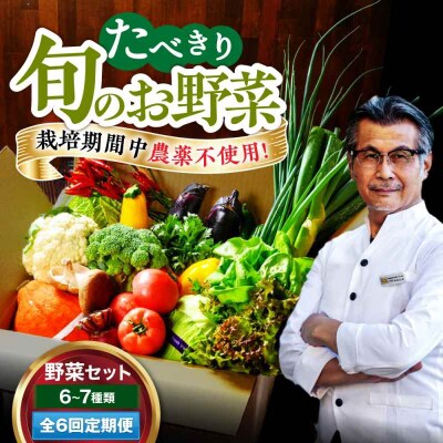 【全6回定期便】 【シェフの目線】 野菜 6から7種 単身・二人暮らし用セット [AGBX045]