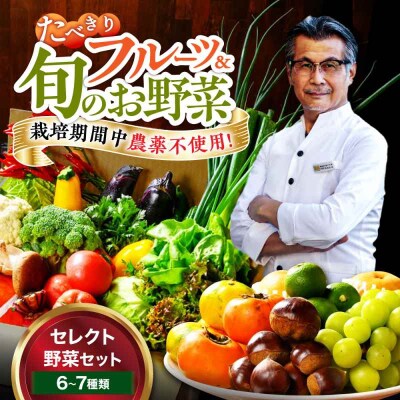 【シェフの目線】 野菜×フルーツセット 6から7種 単身・二人暮らし用セット [AGBX047]