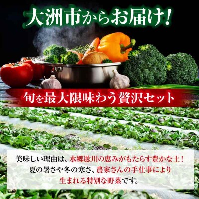 【シェフの目線】 野菜×フルーツセット 6から7種 単身・二人暮らし用セット [AGBX047]