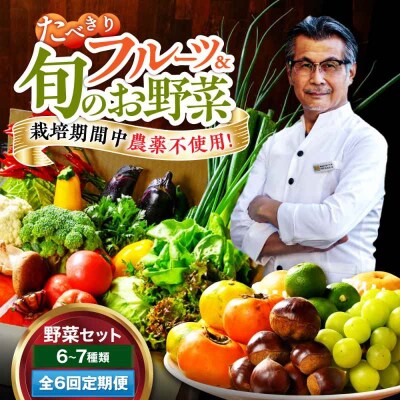 【全6回定期便】  野菜×フルーツセット 6から7種 単身・二人暮らし用セット [AGBX049]