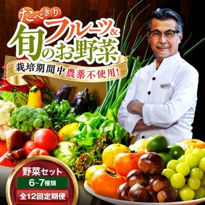 【全12回定期便】  野菜×フルーツセット 6から7種 単身・二人暮らし用セット [AGBX050]
