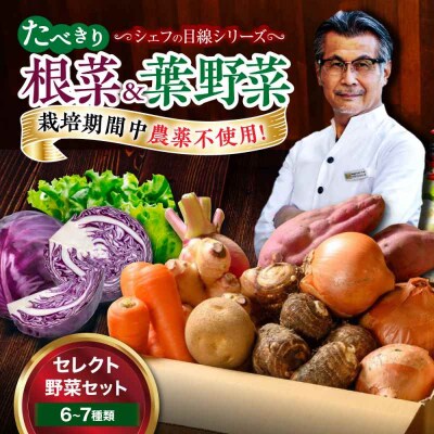  根菜×葉野菜 6から7種 単身・二人暮らし用セット [AGBX051]