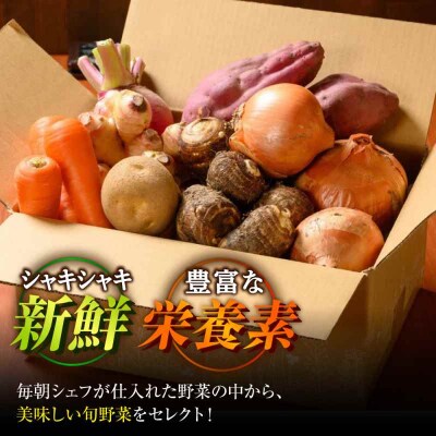  根菜×葉野菜 6から7種 単身・二人暮らし用セット [AGBX051]