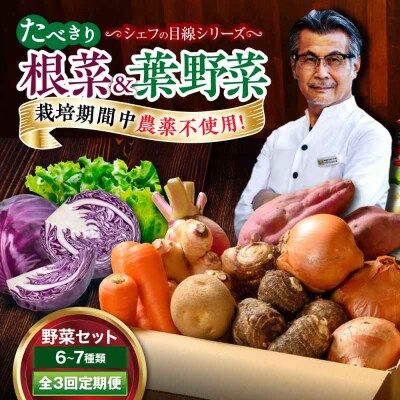 【全3回定期便】  根菜×葉野菜 6から7種 単身・二人暮らし用セット [AGBX052]