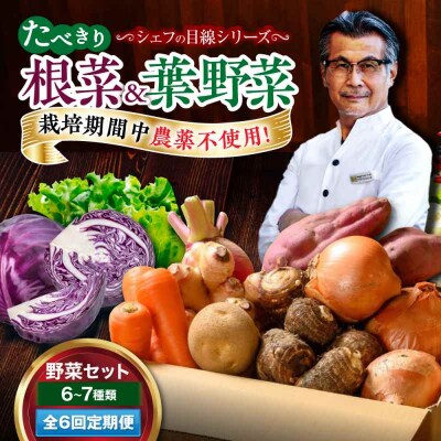 【全6回定期便】  根菜×葉野菜 6から7種 単身・二人暮らし用セット [AGBX053]