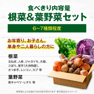 【全6回定期便】  根菜×葉野菜 6から7種 単身・二人暮らし用セット [AGBX053]