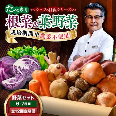 【全12回定期便】  根菜×葉野菜 6から7種 単身・二人暮らし用セット [AGBX054]