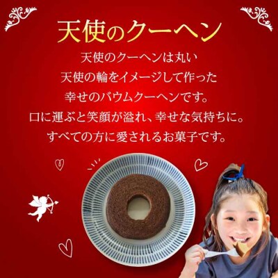 天使のクーヘン ココア味 12個入 ギフト箱入り [AGCB003]