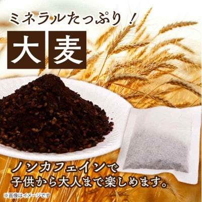 ふるさとの味と香り♪麦茶パック(20パック×15袋入) [AGCP601]