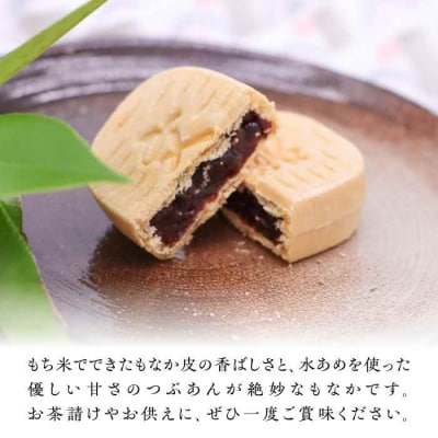 文楽最中 1箱(18個入) [AGCP661]