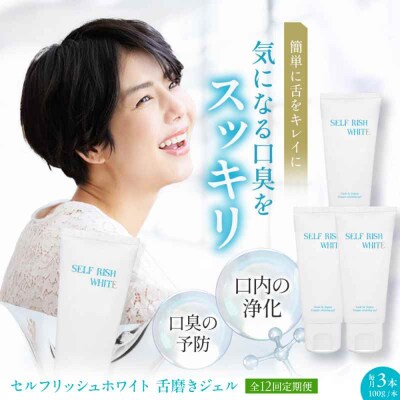 【全12回定期便】舌磨きジェル ミントフレーバー風味 3本(各100g) [AGCQ024]