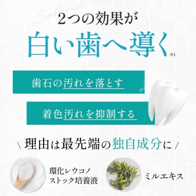 【全12回定期便】マウスウォッシュ 3本(各300ml) [AGCQ036]