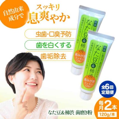 【全6回定期便】なた豆&柿渋 歯磨き粉 120g×2本セット[AGCS004]