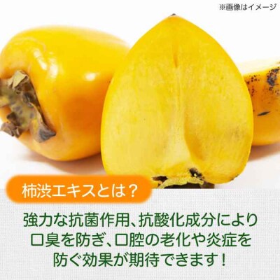 【全3回定期便】なた豆&柿渋 歯磨き粉 120g×4本セット[AGCS006]