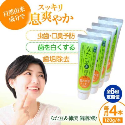 【全6回定期便】なた豆&柿渋 歯磨き粉 120g×4本セット[AGCS007]