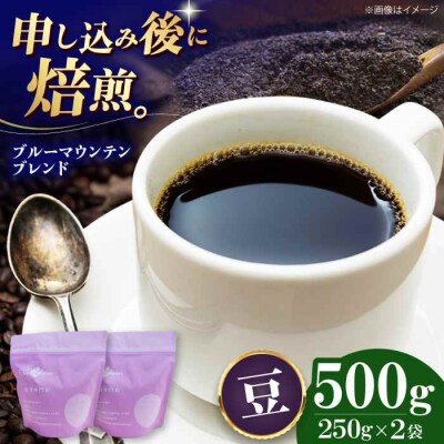 コーヒー豆 ブルーマウンテンブレンド 500g (250g×2袋)[AGCU007-1]