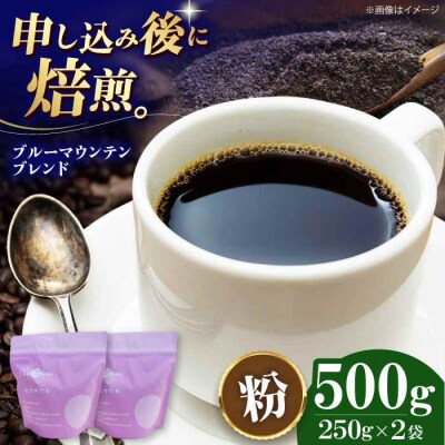 コーヒー粉 ブルーマウンテンブレンド 500g (250g×2袋)[AGCU007-2]