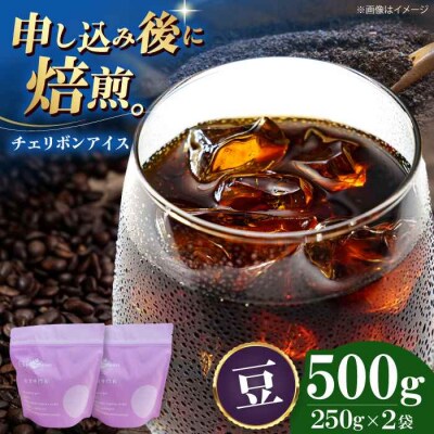コーヒー豆 チェリボンアイス 500g (250g×2袋)[AGCU013-1]