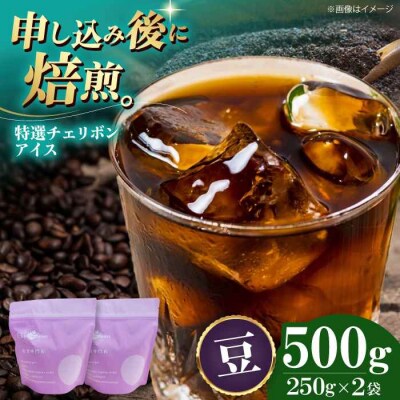 コーヒー豆 特選チェリボンアイス 500g (250g×2袋)[AGCU015-1]