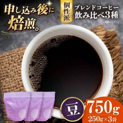 コーヒー豆 少し個性のあるブレンドコーヒー飲み比べ 3種セット各250g[AGCU023-2]