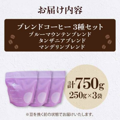 コーヒー豆 少し個性のあるブレンドコーヒー飲み比べ 3種セット各250g[AGCU023-2]