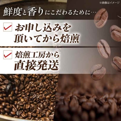 【お試し】コーヒー粉 モカブレンド 125g[AGCU031-2]