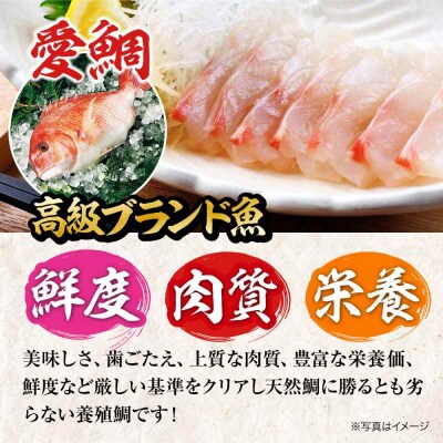 【冷凍】国内上級 養殖 真鯛 『愛鯛』1尾(3枚卸済 フィレ2枚 お頭付き) [AGDA001]