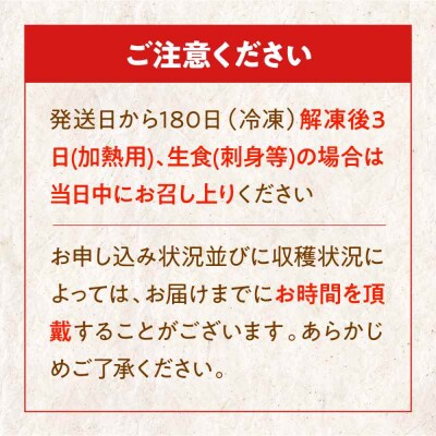 【冷凍】国内上級 養殖 真鯛 『愛鯛』1尾(3枚卸済 フィレ2枚 お頭付き) [AGDA001]