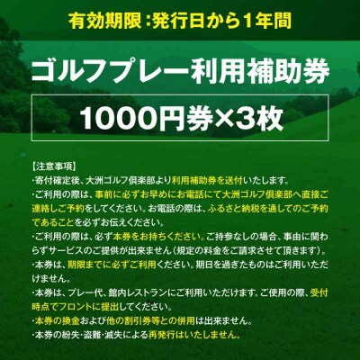 大洲ゴルフ倶楽部 ゴルフプレー利用補助券 1000円券×3枚 [AGDI001]