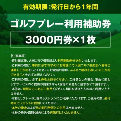 大洲ゴルフ倶楽部 ゴルフプレー利用補助券 3000円券×1枚 [AGDI002]