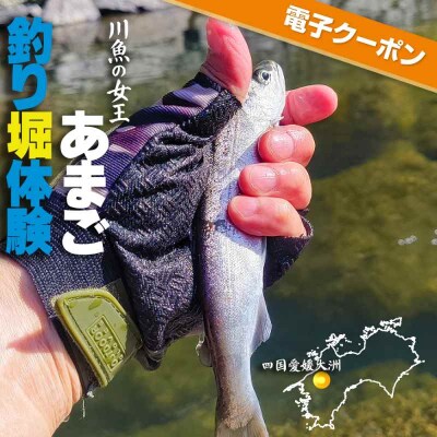 【電子クーポン】あまご釣り堀体験 クーポン(お一人様分) [AGDO001]