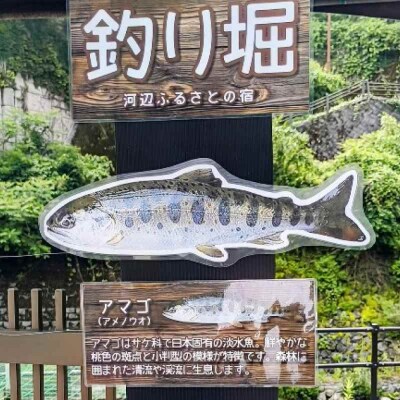 【電子クーポン】あまご釣り堀体験 クーポン(お一人様分) [AGDO001]