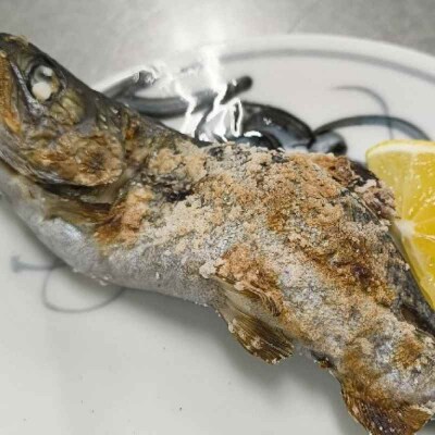 【電子クーポン】あまご釣り堀体験 クーポン(お一人様分) [AGDO001]