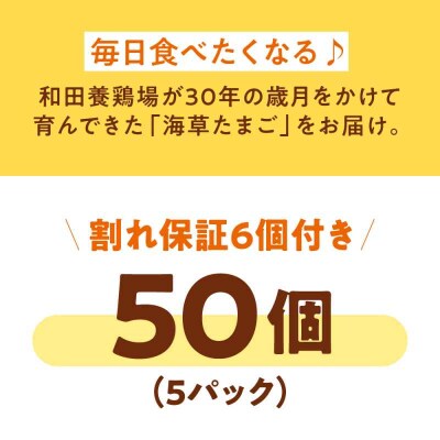平飼い 海草たまご 5パック(50個入り)割れ保証あり [AGDQ002]