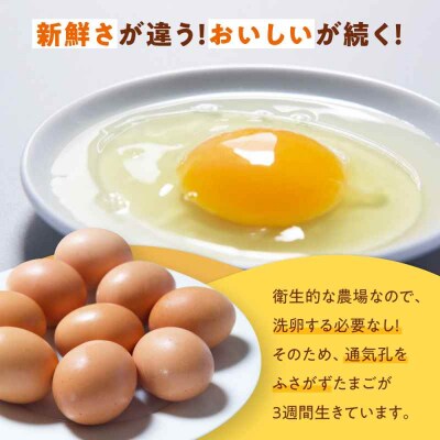 平飼い 海草たまご 5パック(50個入り)割れ保証あり [AGDQ002]