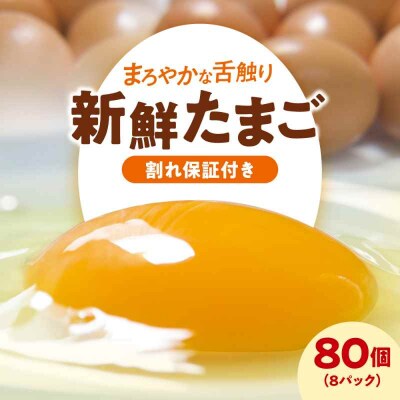 平飼い 海草たまご 8パック(80個入り)割れ保証あり [AGDQ003]