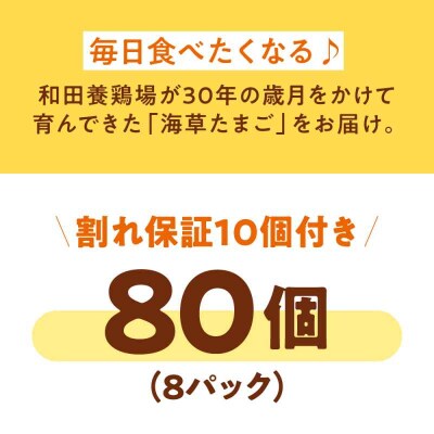 平飼い 海草たまご 8パック(80個入り)割れ保証あり [AGDQ003]