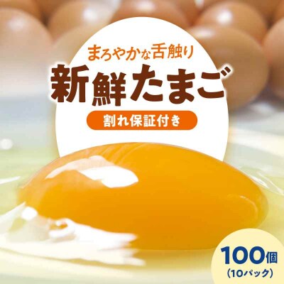 平飼い 海草たまご 10パック(100個入り)割れ保証あり [AGDQ004]
