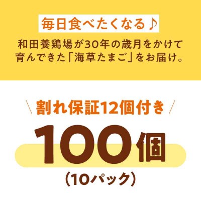 平飼い 海草たまご 10パック(100個入り)割れ保証あり [AGDQ004]