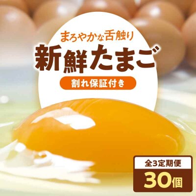 【全3回定期便】平飼い 海草たまご 3パック(30個入り)割れ保証あり [AGDQ005]
