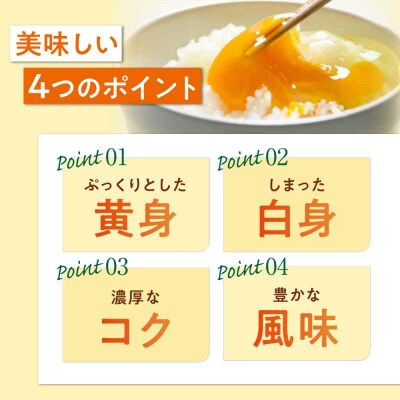 【全3回定期便】平飼い 海草たまご 3パック(30個入り)割れ保証あり [AGDQ005]