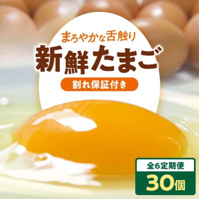 【全6回定期便】平飼い 海草たまご 3パック(30個入り)割れ保証あり [AGDQ006]